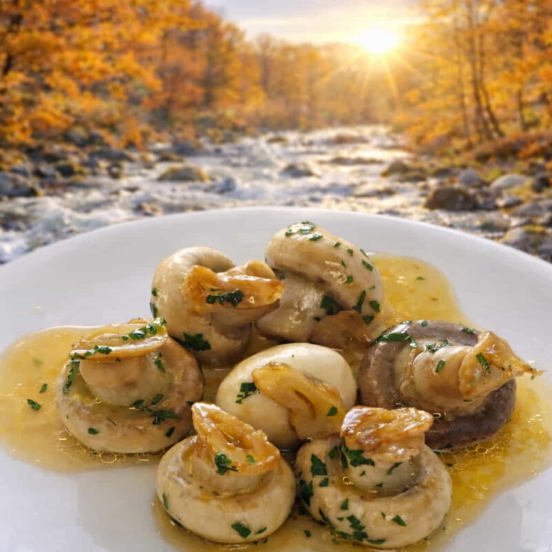 Champiñones al ajillo